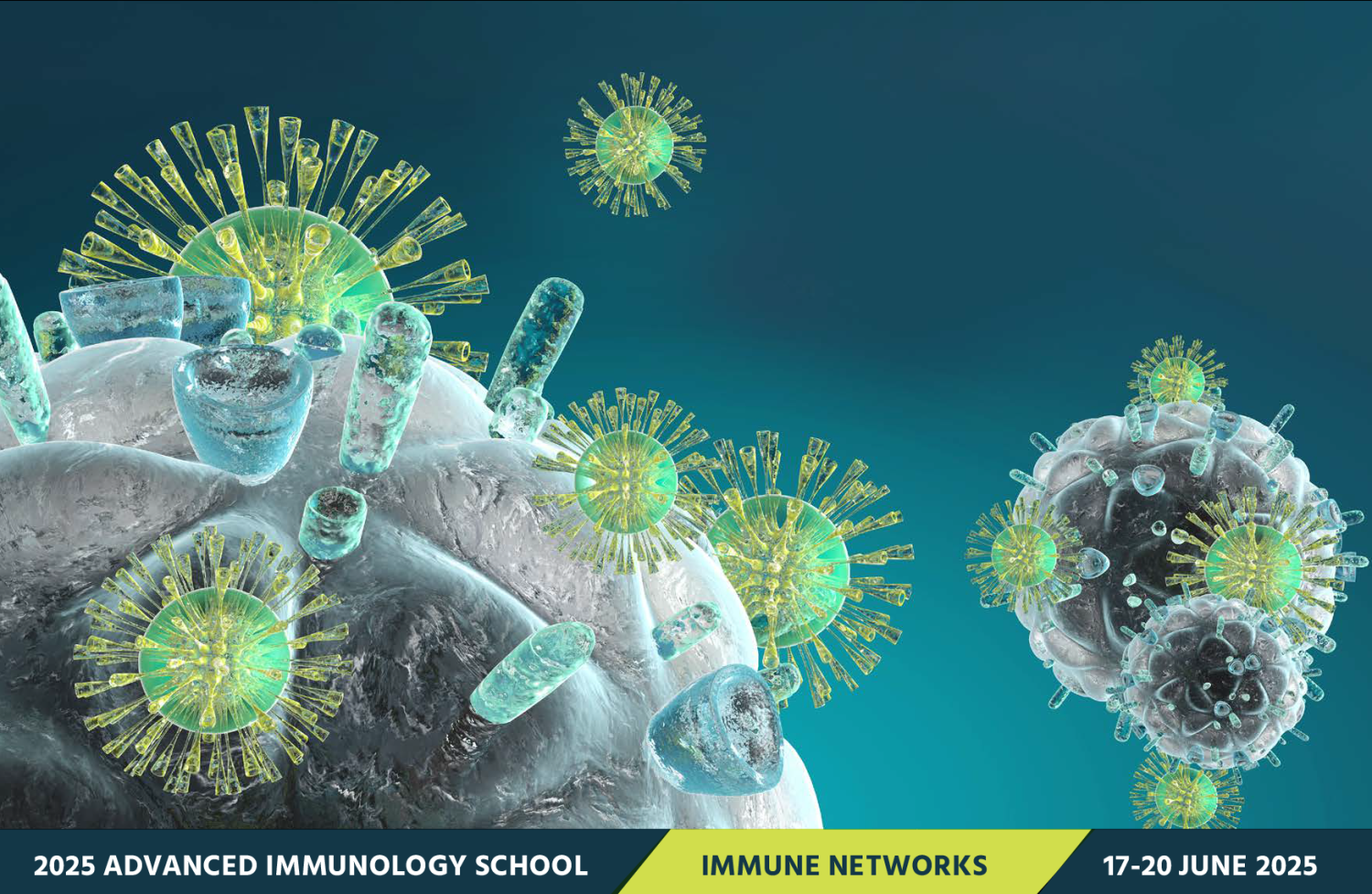 Thumbnail for 2025 ASI Advanced Immunology School - EOI