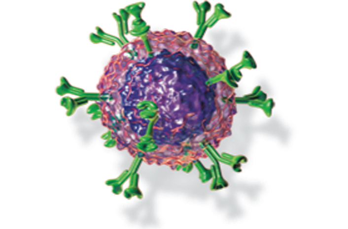 Thumbnail for Day of Immunology events 2015